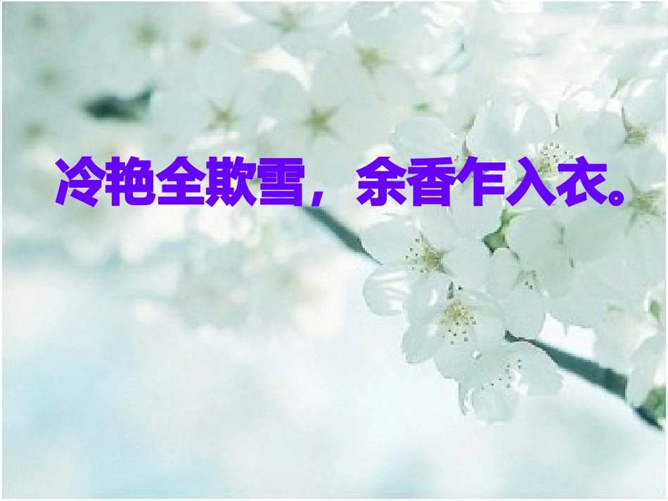 第15课《驿路梨花》2020-2021学年七年级语文下册同步备课课件（部编版）.pptx_第1页