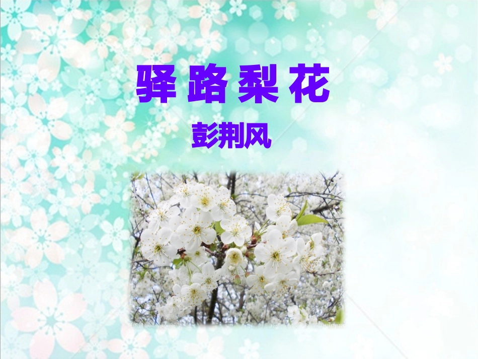第15课《驿路梨花》2020-2021学年七年级语文下册同步备课课件（部编版）.pptx_第3页