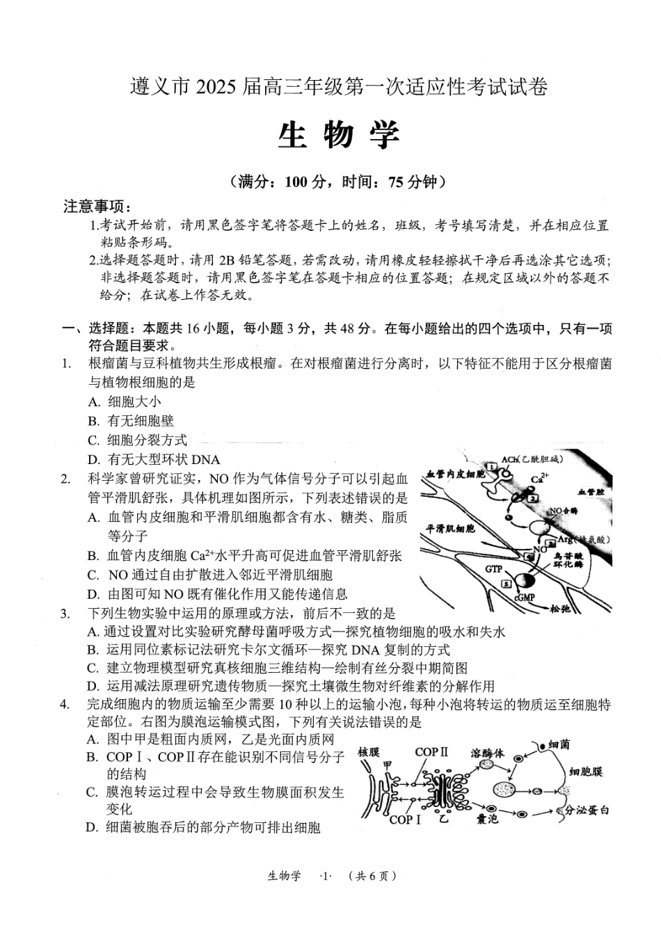 贵州省遵义市2024-2025学年高三上学期第一次适应性考试（一模）生物试卷.pdf_第1页