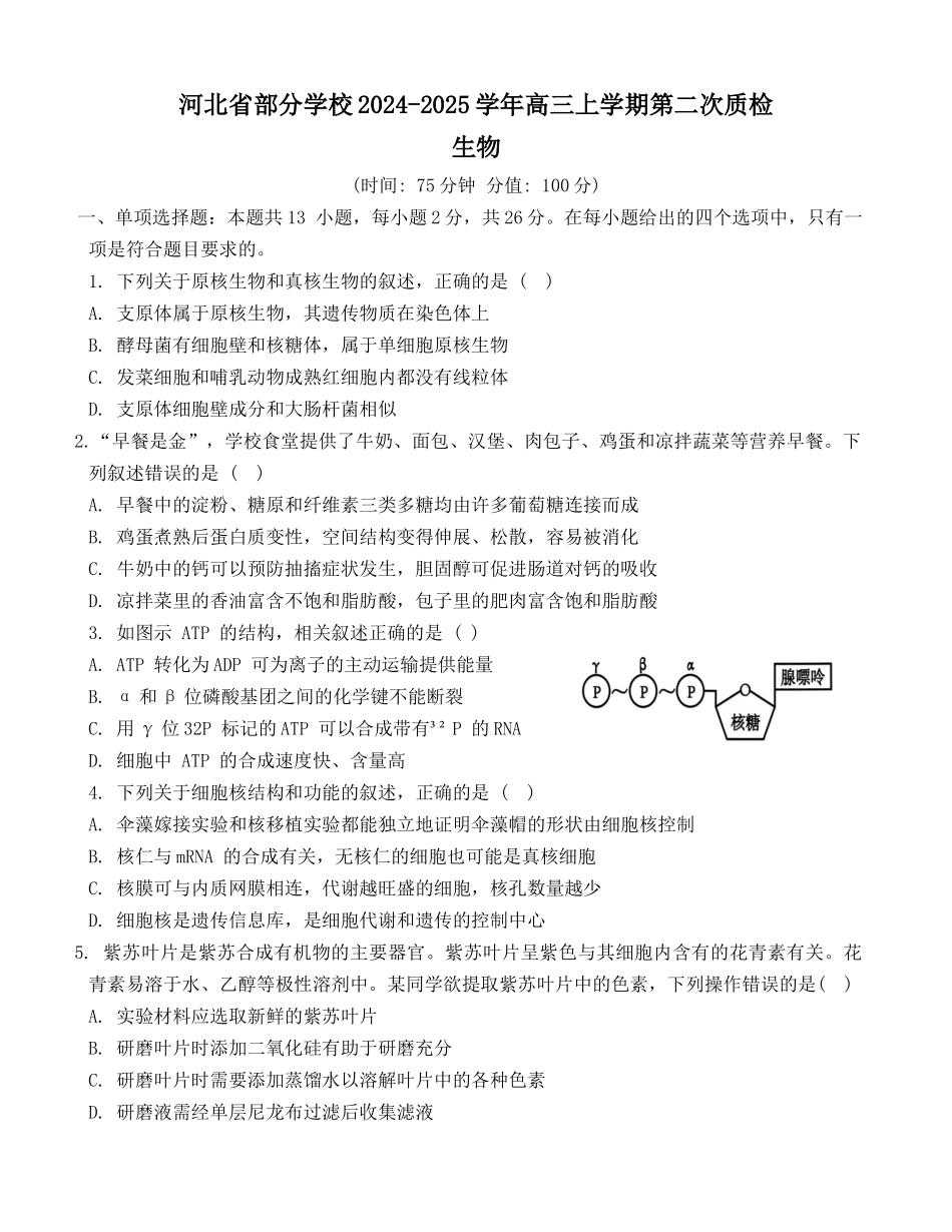 河北省2024-2025学年高三上学期质量检测二生物学试题含答案.docx_第1页