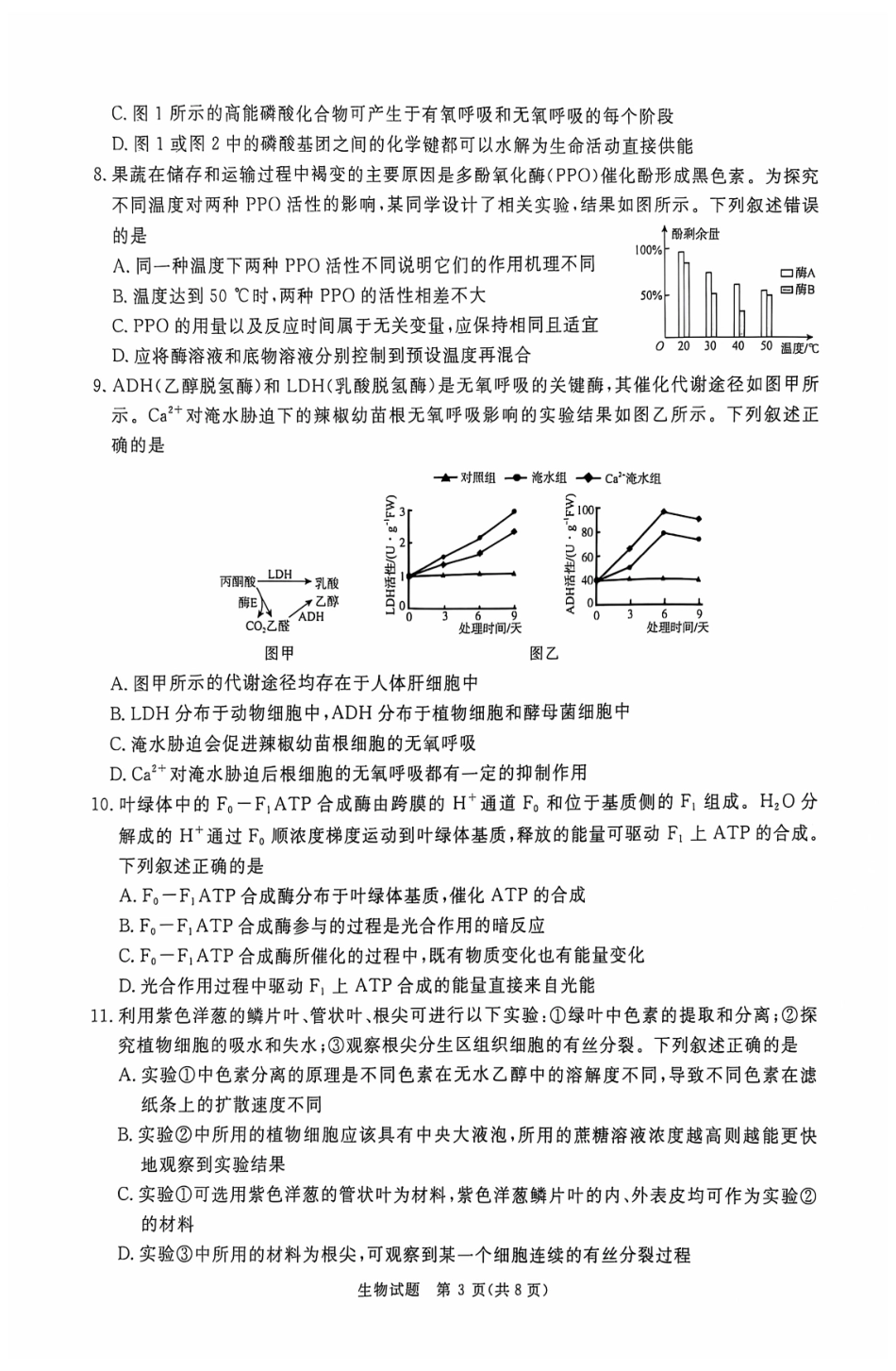 河南省青桐鸣2025届高三10月大联考生物试题含答案.pdf_第3页