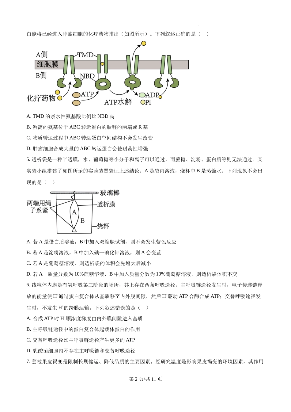 黑龙江省绥化市绥棱县第一中学2024-2025学年高三上学期10月月考生物试题.docx_第2页