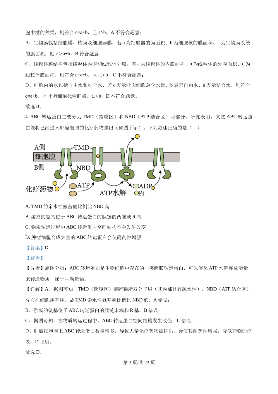 黑龙江省绥化市绥棱县第一中学2024-2025学年高三上学期10月月考生物试题答案.docx_第3页