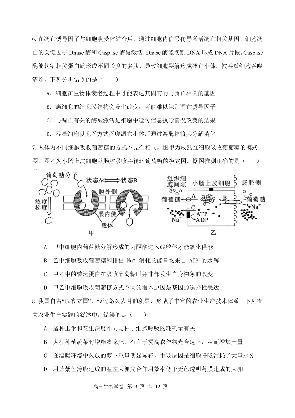 江苏省盐城市五校联考2024-2025学年高三上学期10月月考生物试题含答案.pdf_第3页