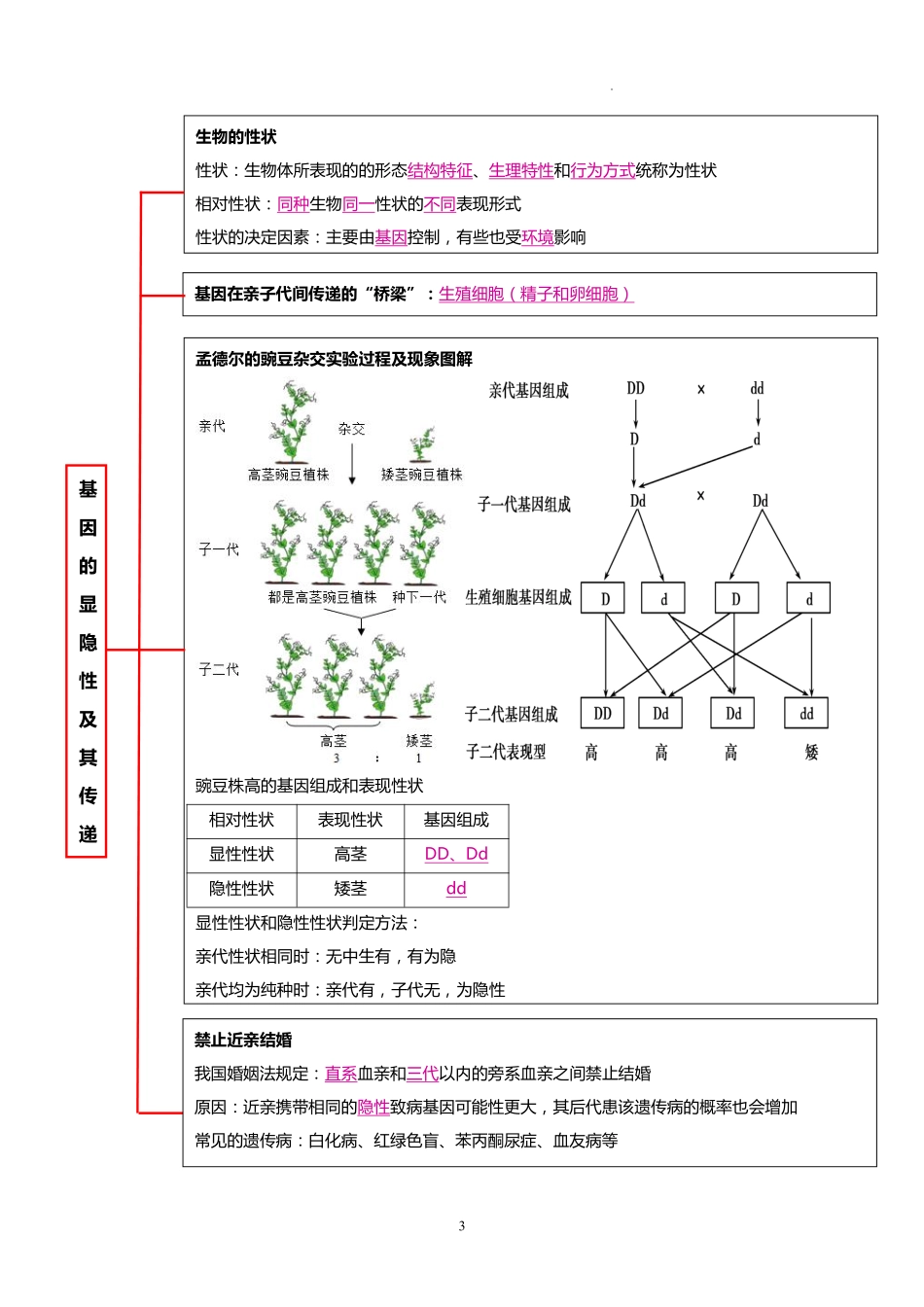 秘籍04  八年级生物下册核心背记（10类要点归纳）-备战2024年中考生物抢分秘籍（全国通用） .pdf_第3页