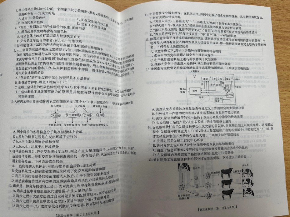 青海金太阳2025届高三10月联考生物试题.pdf_第2页