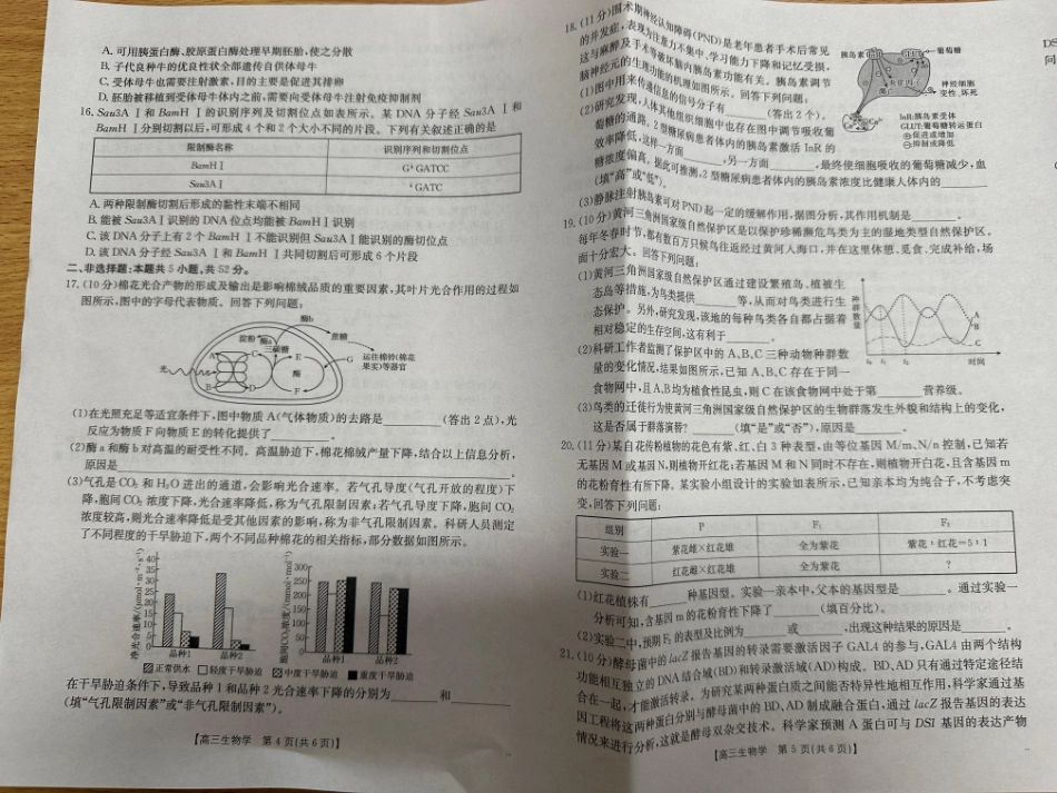 青海金太阳2025届高三10月联考生物试题.pdf_第3页