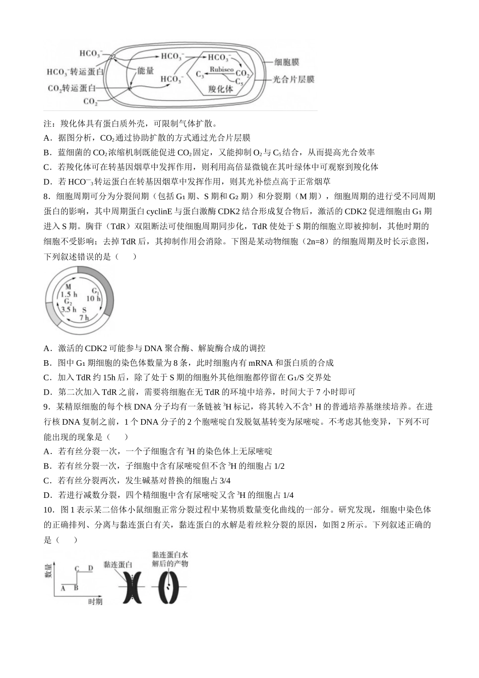 山东省实验中学2024—2025学年高三上学期第一次诊断生物试题(含答案）.docx_第3页