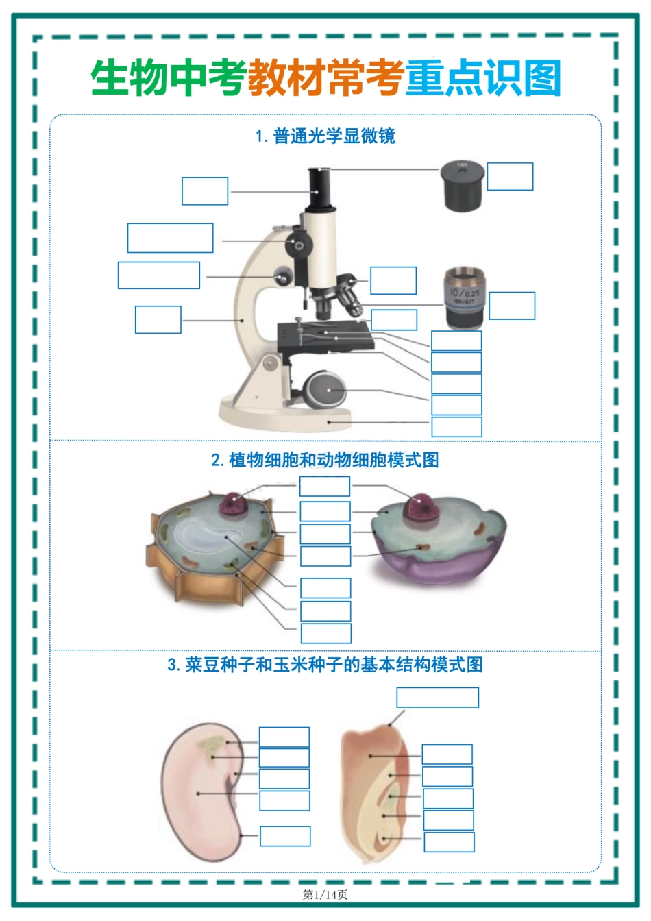 生物中考教材常考重点识图填空..pdf_第1页