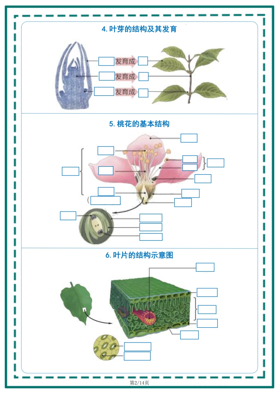 生物中考教材常考重点识图填空..pdf_第2页