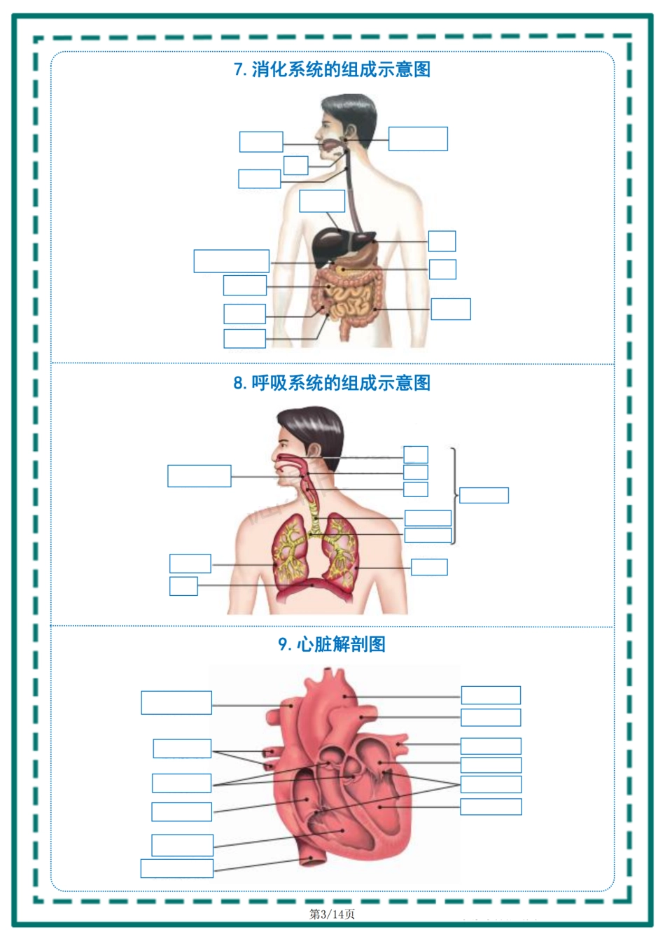 生物中考教材常考重点识图填空..pdf_第3页