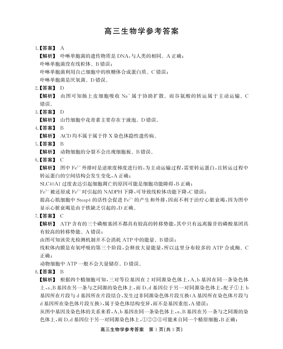安徽省鼎尖联盟2024-2025学年高三上学期期中考试生物学试题解析.pdf_第1页