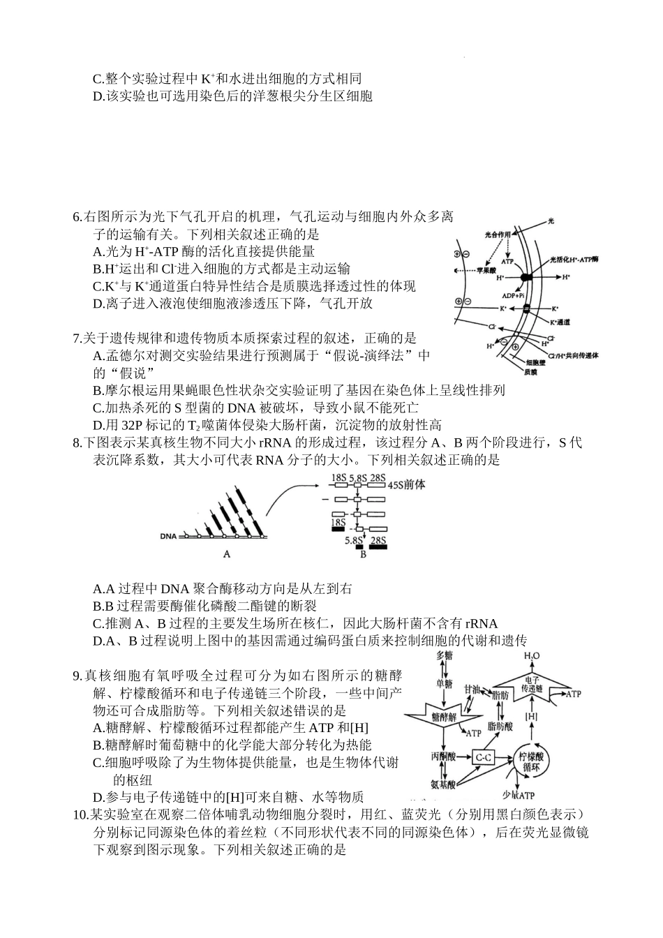 江苏省盐城市2024-2025学年高三上学期11月期中考试 生物.docx_第2页