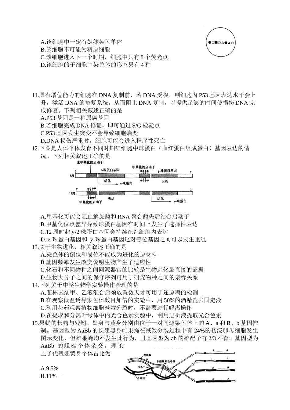 江苏省盐城市2024-2025学年高三上学期11月期中考试 生物.docx_第3页