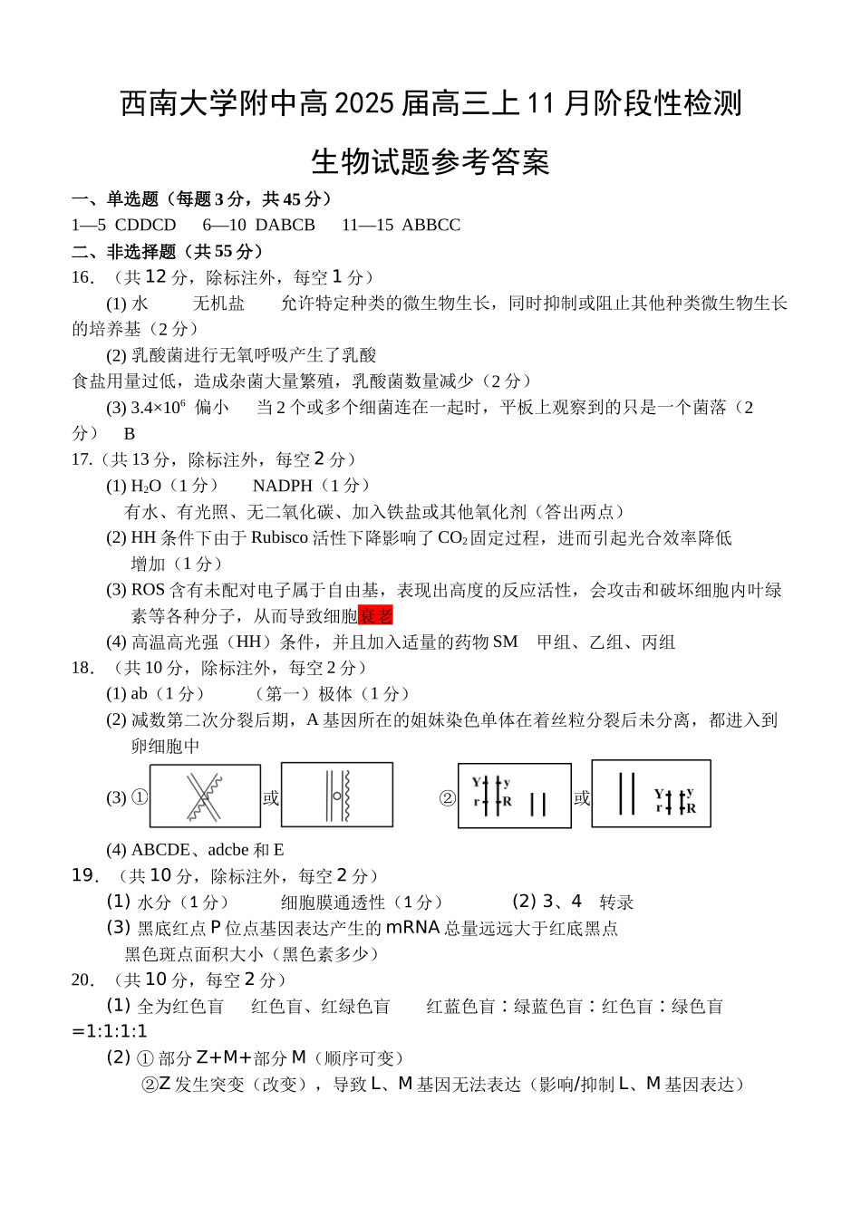 重庆市西南大学附属中学2024-2025学年高三上学期11月阶段性检测生物参考答案.docx_第1页