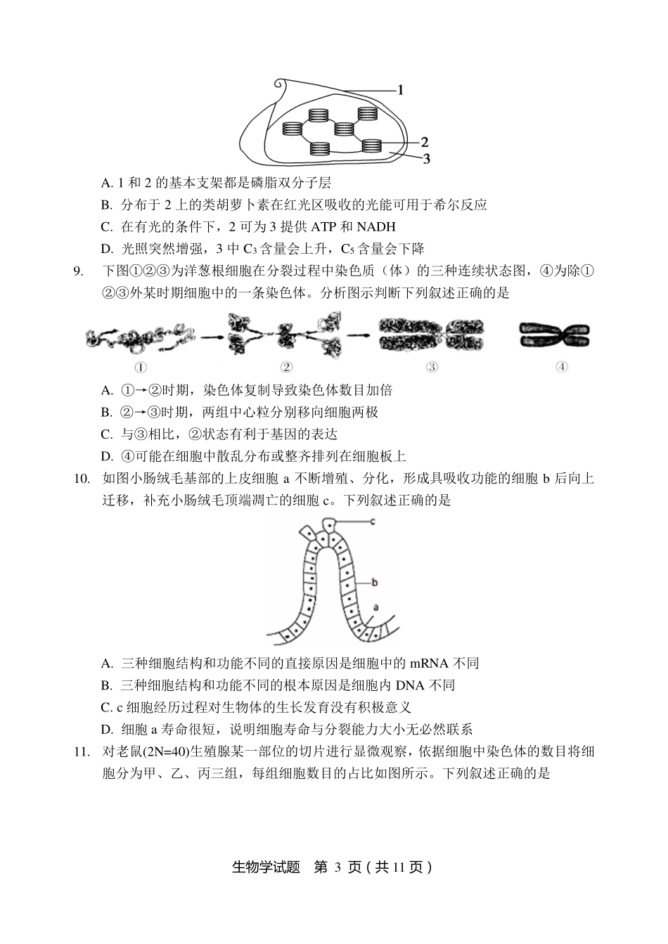 黑龙江省龙东联盟2024-2025学年高三上学期11月月考生物含答案.pdf_第3页