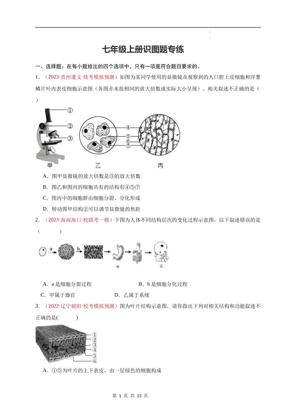 七年级上册识图题专练（原卷版）.docx_第1页