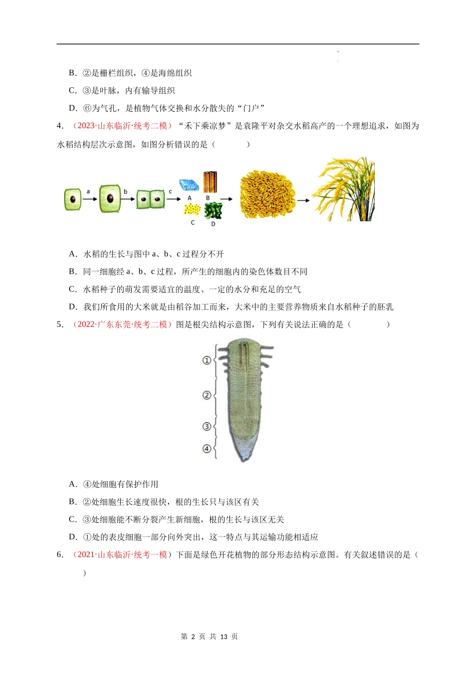 七年级上册识图题专练（原卷版）.docx_第2页