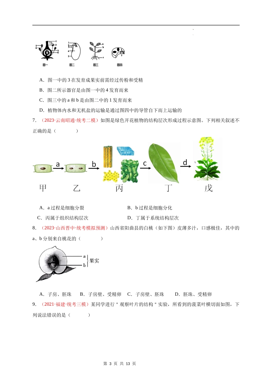 七年级上册识图题专练（原卷版）.docx_第3页