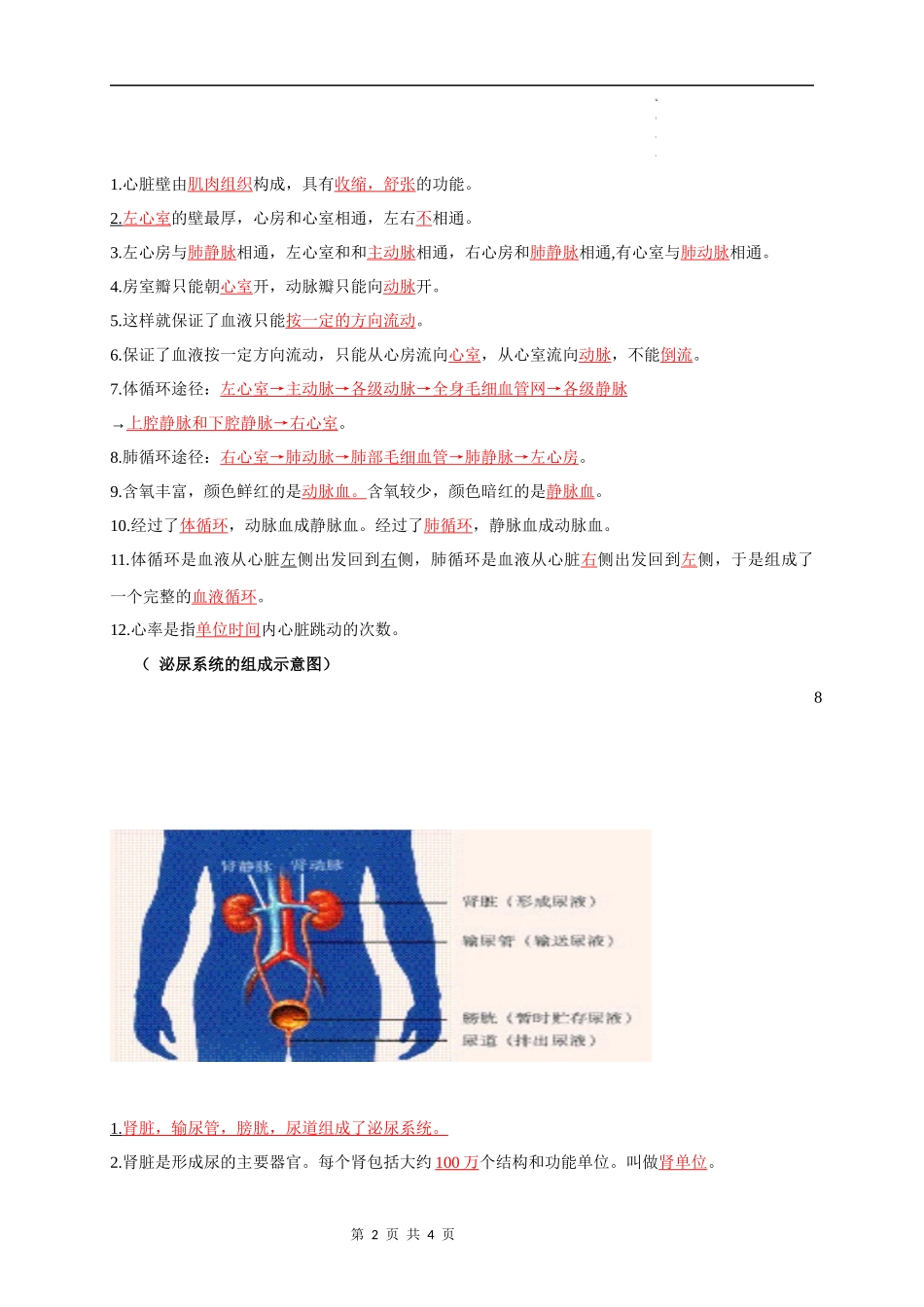 七年级下册识图知识突破-备战2024年中考生物复习重点难点易错点提分法宝.docx_第2页
