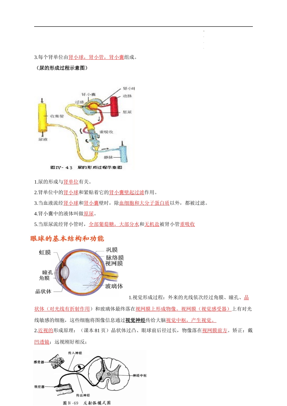 七年级下册识图知识突破-备战2024年中考生物复习重点难点易错点提分法宝.docx_第3页