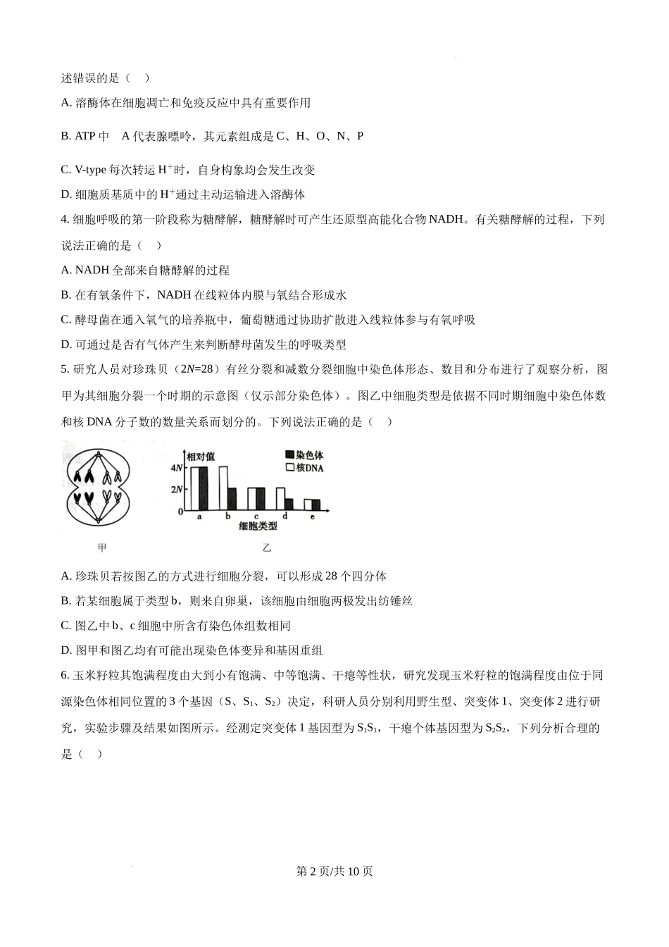 云南省大理白族自治州宾川县高平第一完全中学2024-2025学年高三上学期期中考试生物试题.docx_第2页