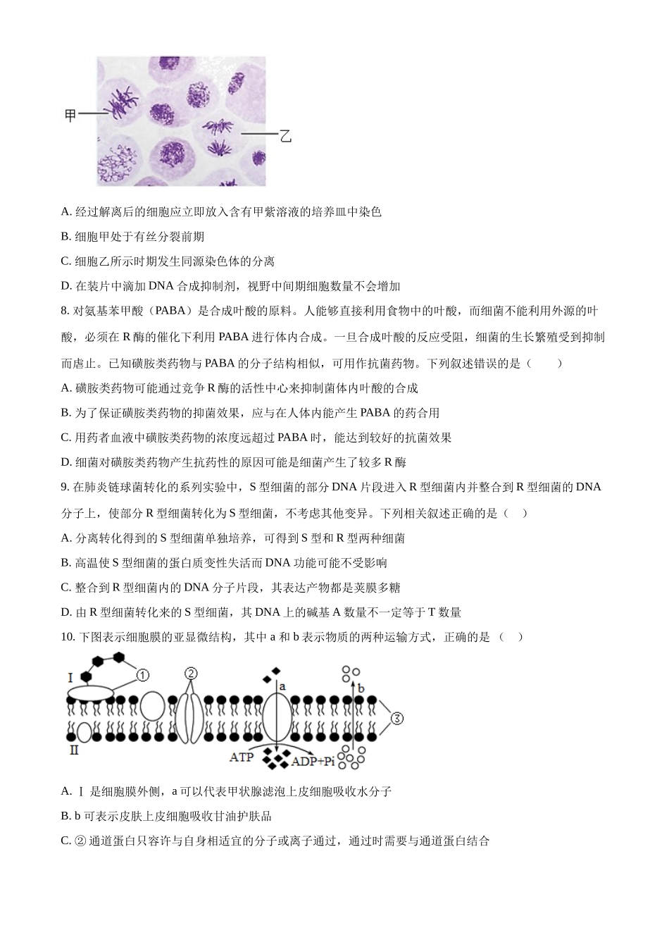 重庆市重庆市重庆乌江新高考协作体2024-2025学年高三上学期10月月考生物试题.docx_第2页