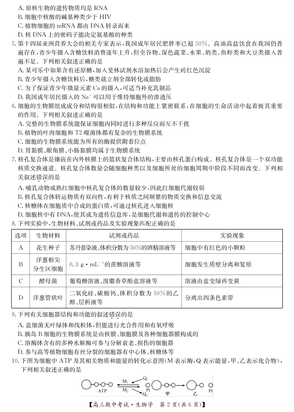 九师联盟湖北省宜昌协作体2025届高三11月联考（全科）生物含答案.pdf_第2页