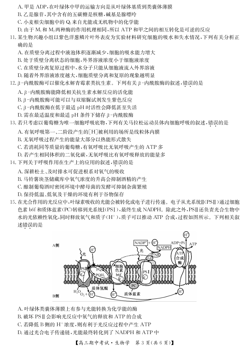 九师联盟湖北省宜昌协作体2025届高三11月联考（全科）生物含答案.pdf_第3页