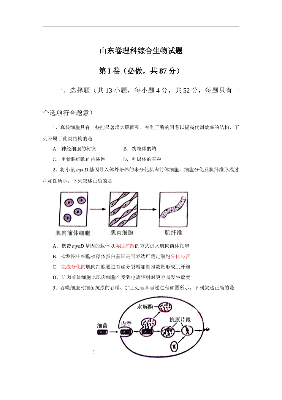 2013年高考真题 生物(山东卷)（原卷版）.docx_第1页