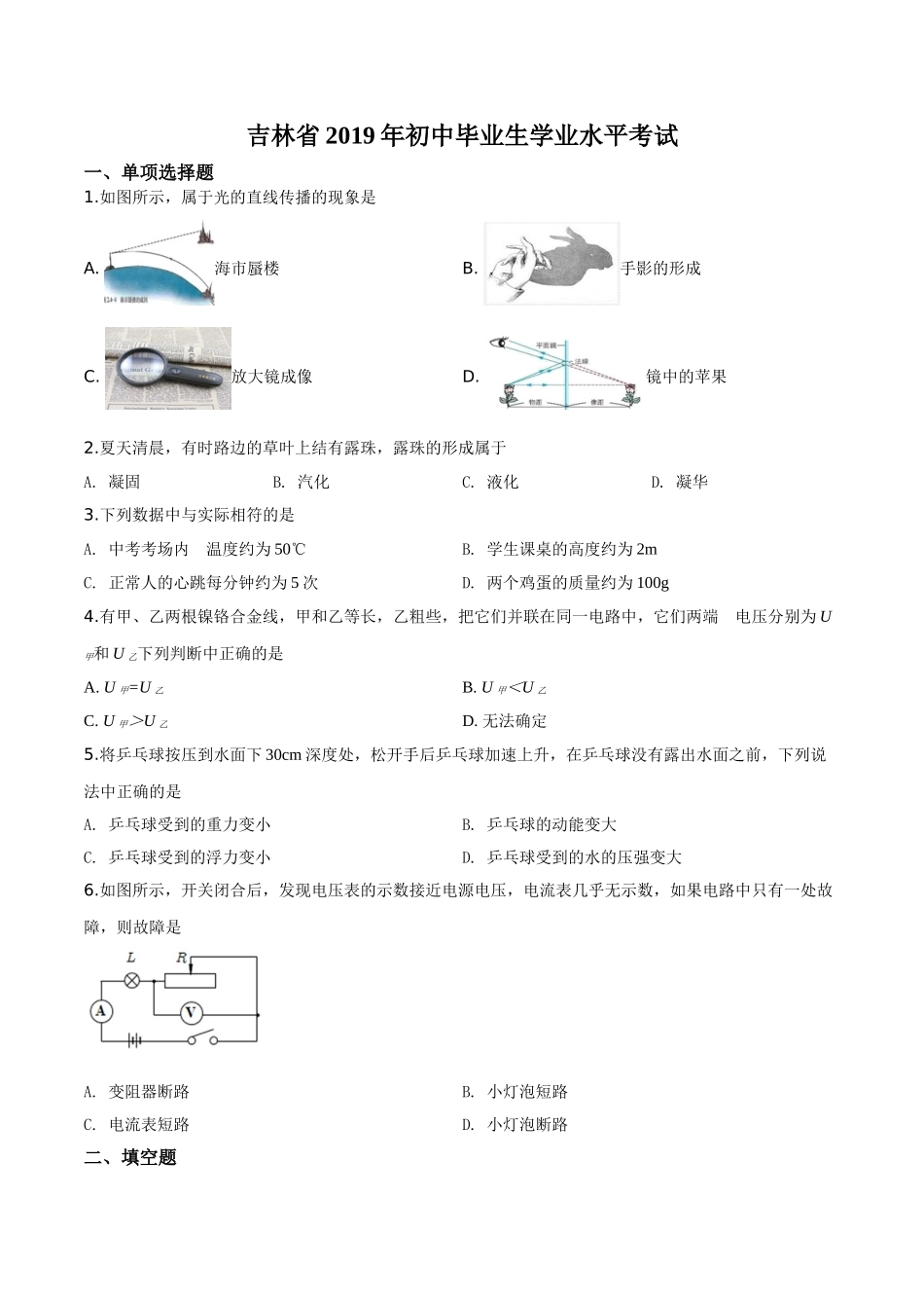 2019年吉林省中考物理试题（原卷版）.doc_第1页