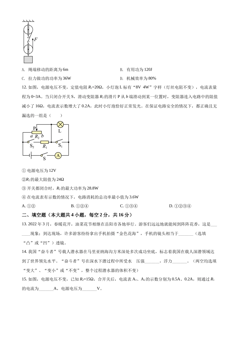 2022年湖南省岳阳市中考物理试题（原卷版）.docx_第3页