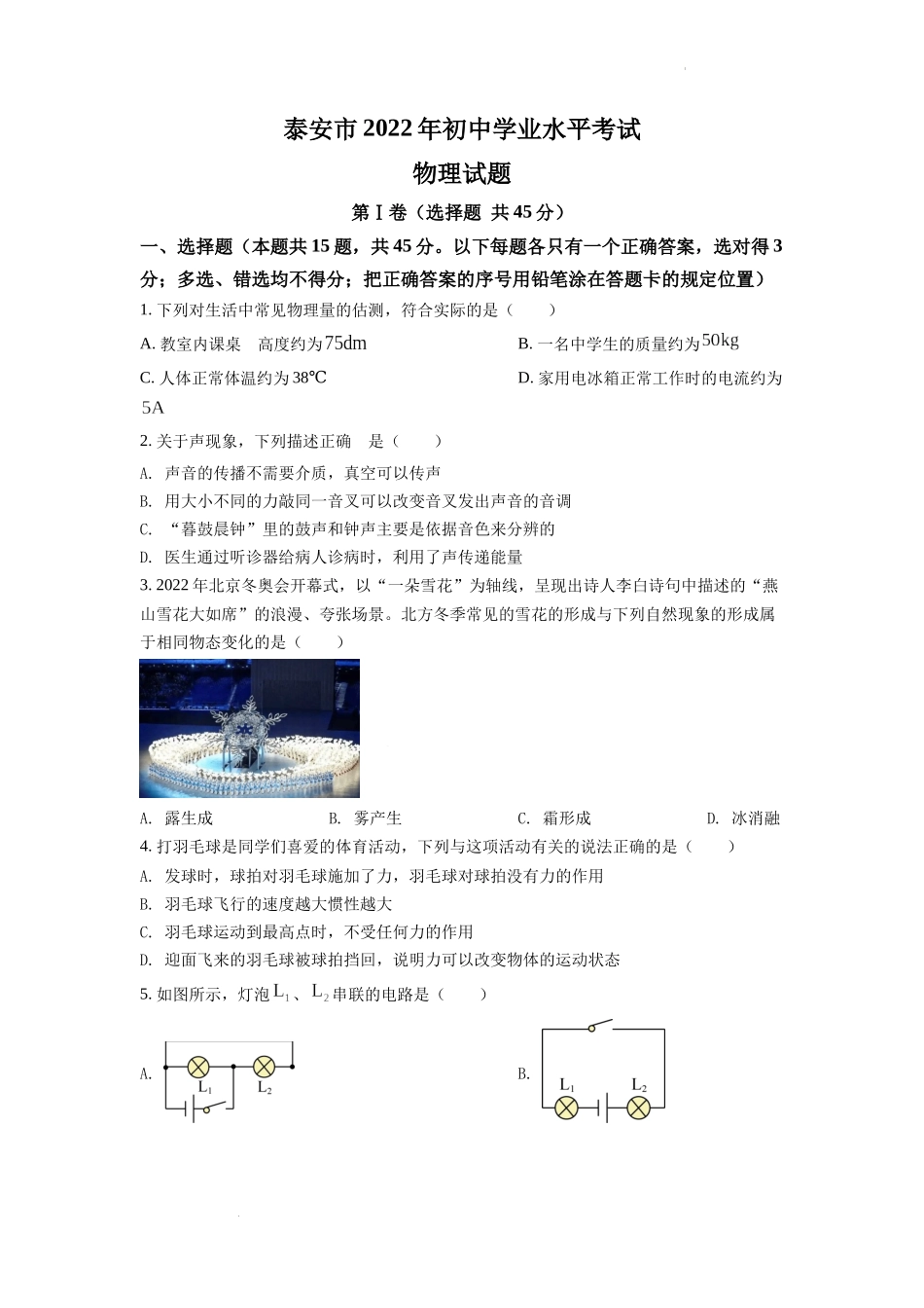 2022年山东省泰安市中考物理真题（原卷版）.docx_第1页