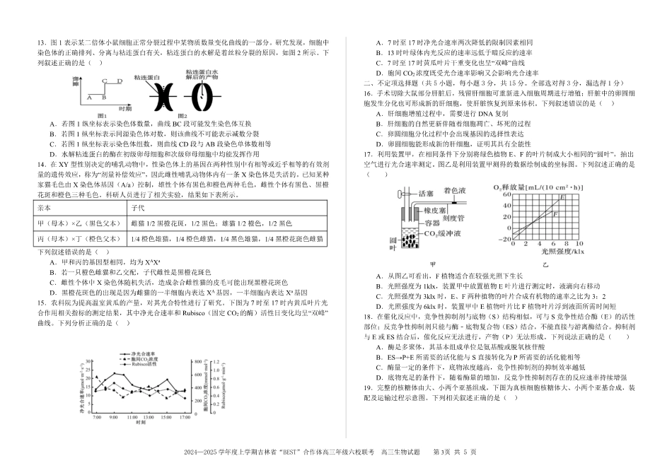 吉林省“BEST”合作体六校2024-2025学年高三上学期第三次联考生物.pdf_第3页