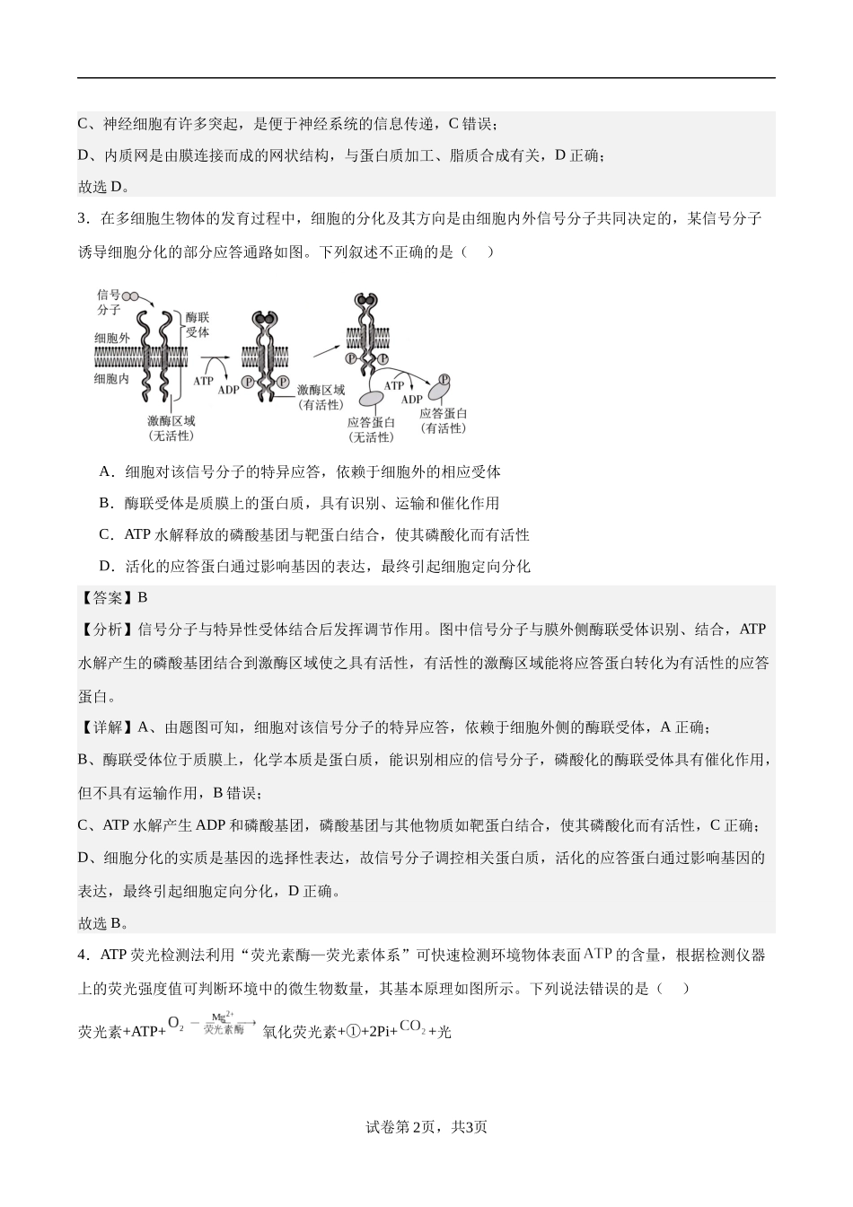 江苏省南京市协同体七校2024-2025学年高三上学期期中联合考试生物试题（解析版）.docx_第2页