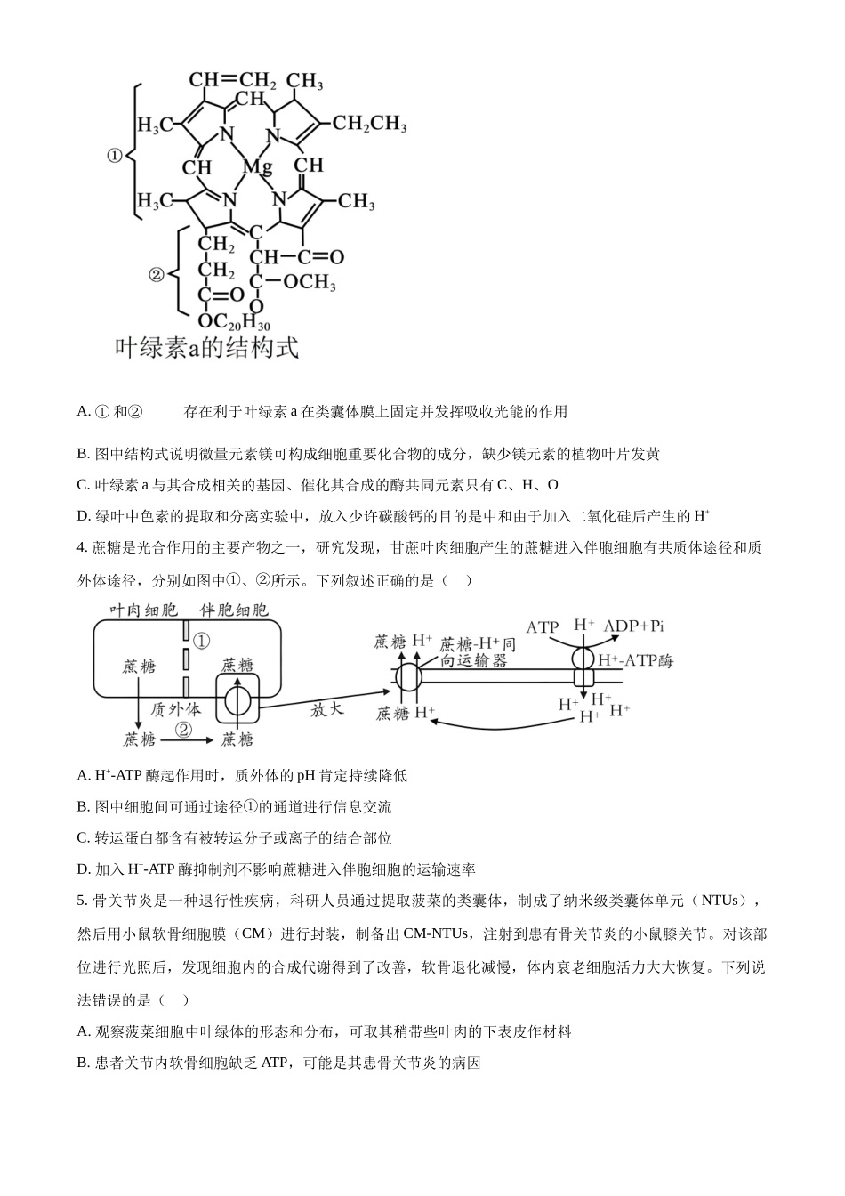 山东省泰安第一中学2025届高三上学期11月月考生物试题（原卷版）.docx_第2页