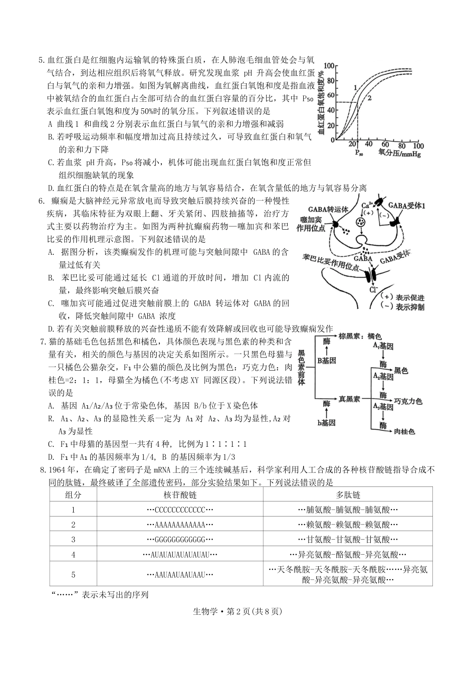 重庆市第一中学校2024-2025学年高三上学期11月期中生物学试题卷.docx_第2页