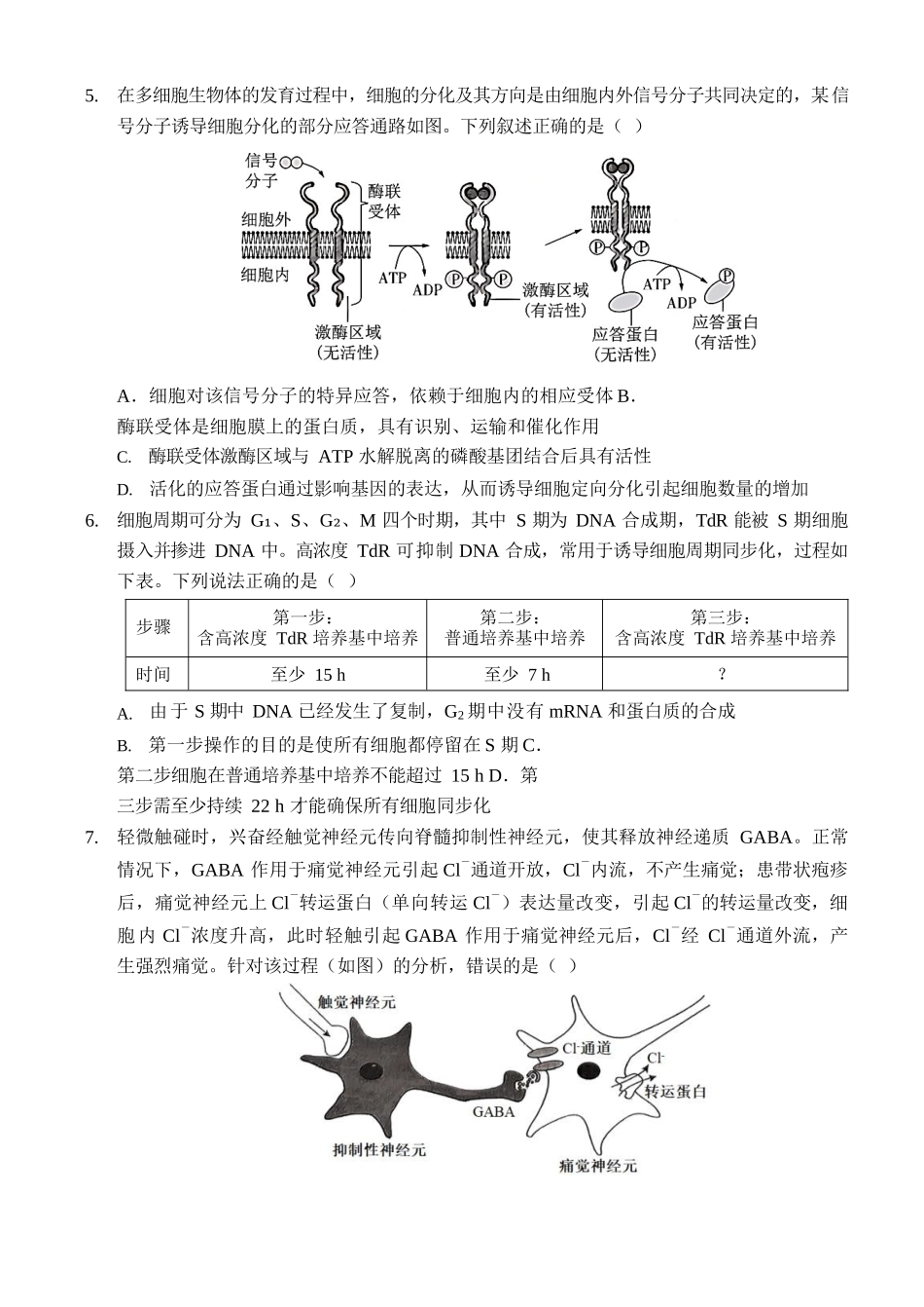 重庆市西南大学附属中学校2024-2025学年高三上学期11月阶段性检查生物试题（二）含答案.docx_第2页