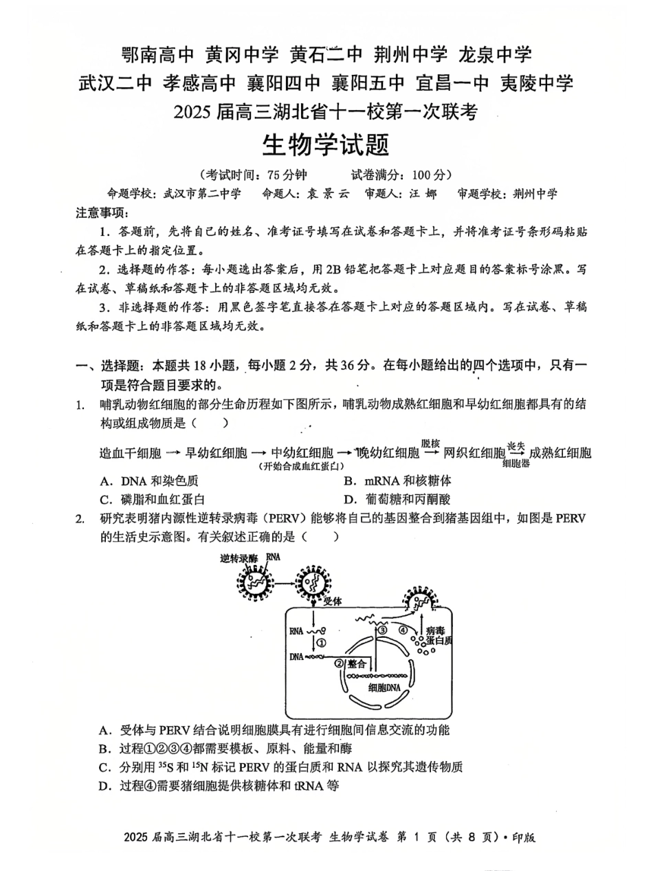 湖北十一校2025届高三12月联考生物试卷含答案.pdf_第1页