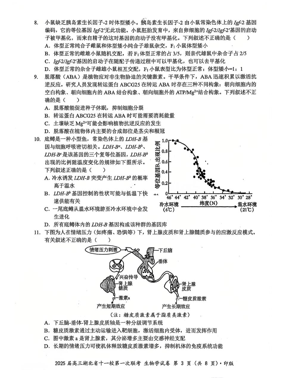 湖北十一校2025届高三12月联考生物试卷含答案.pdf_第3页