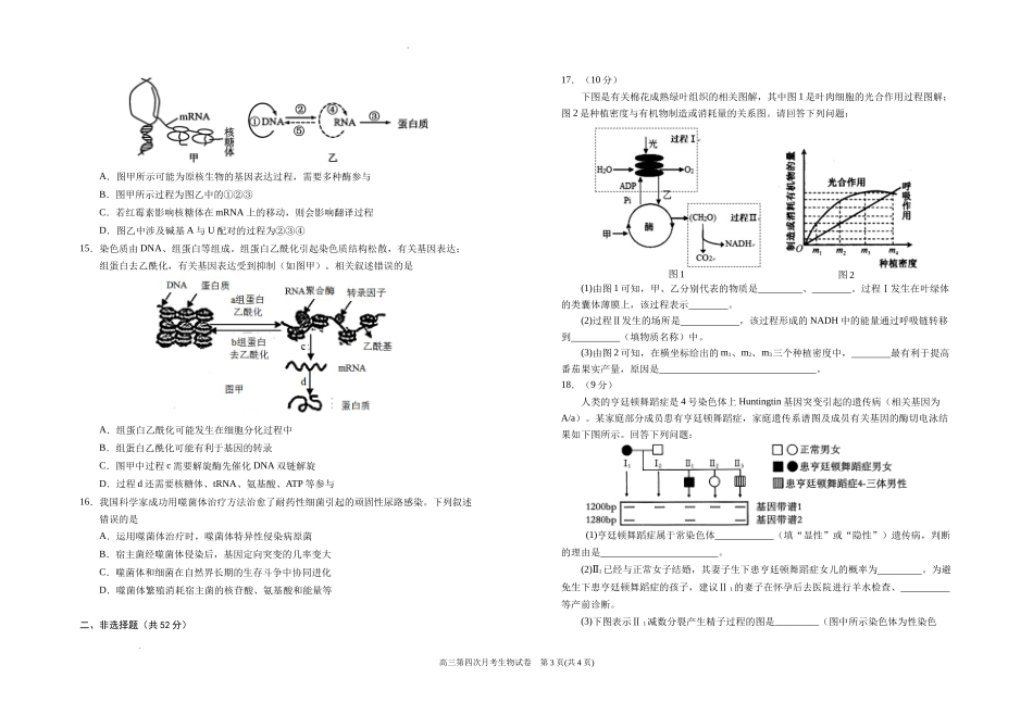 宁夏银川一中2025届高三上学期第四次月考生物含答案.docx_第3页