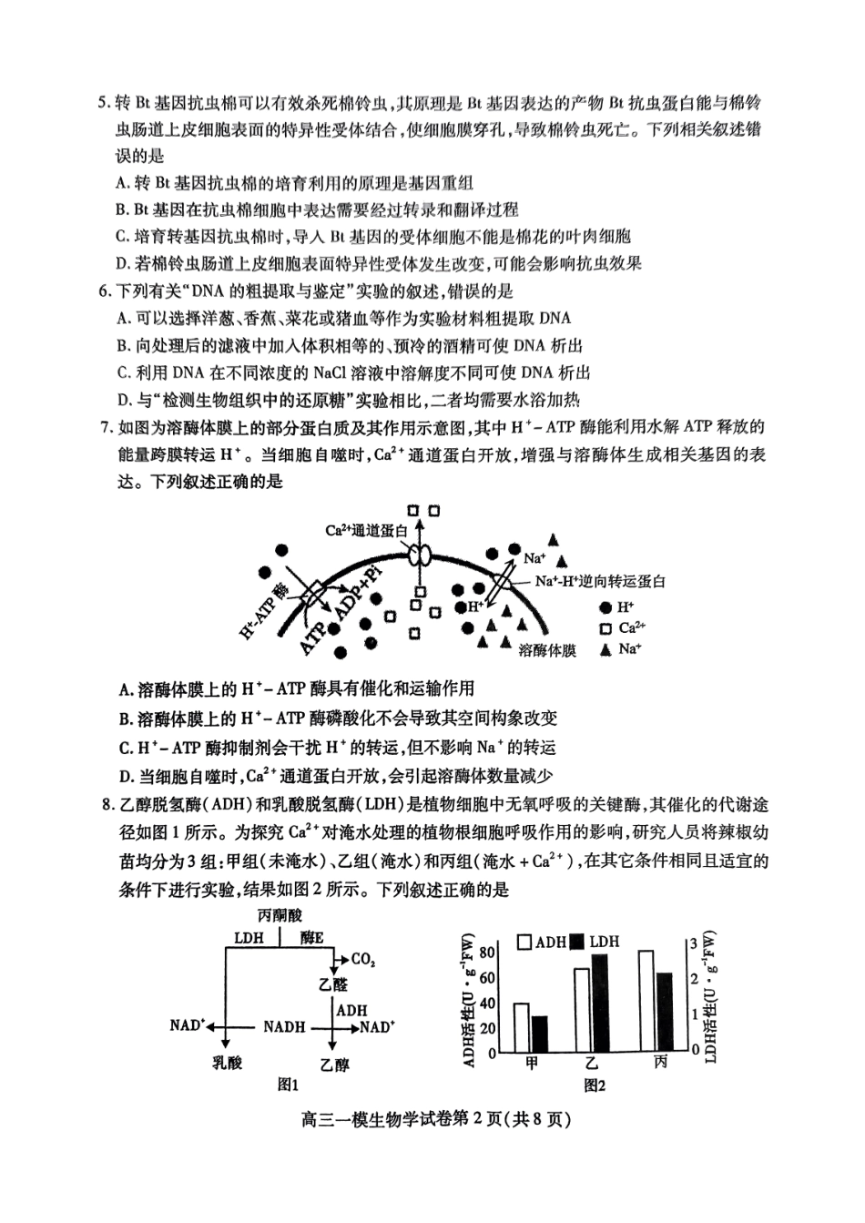 四川省内江市高三上学期第一次模拟考试生物+答案.pdf_第2页