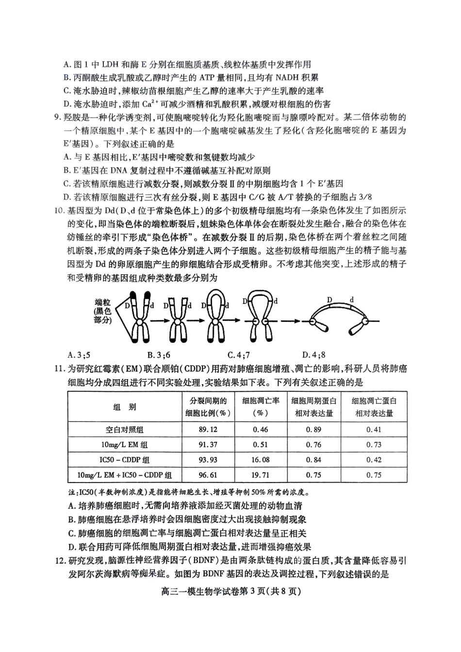 四川省内江市高三上学期第一次模拟考试生物+答案.pdf_第3页