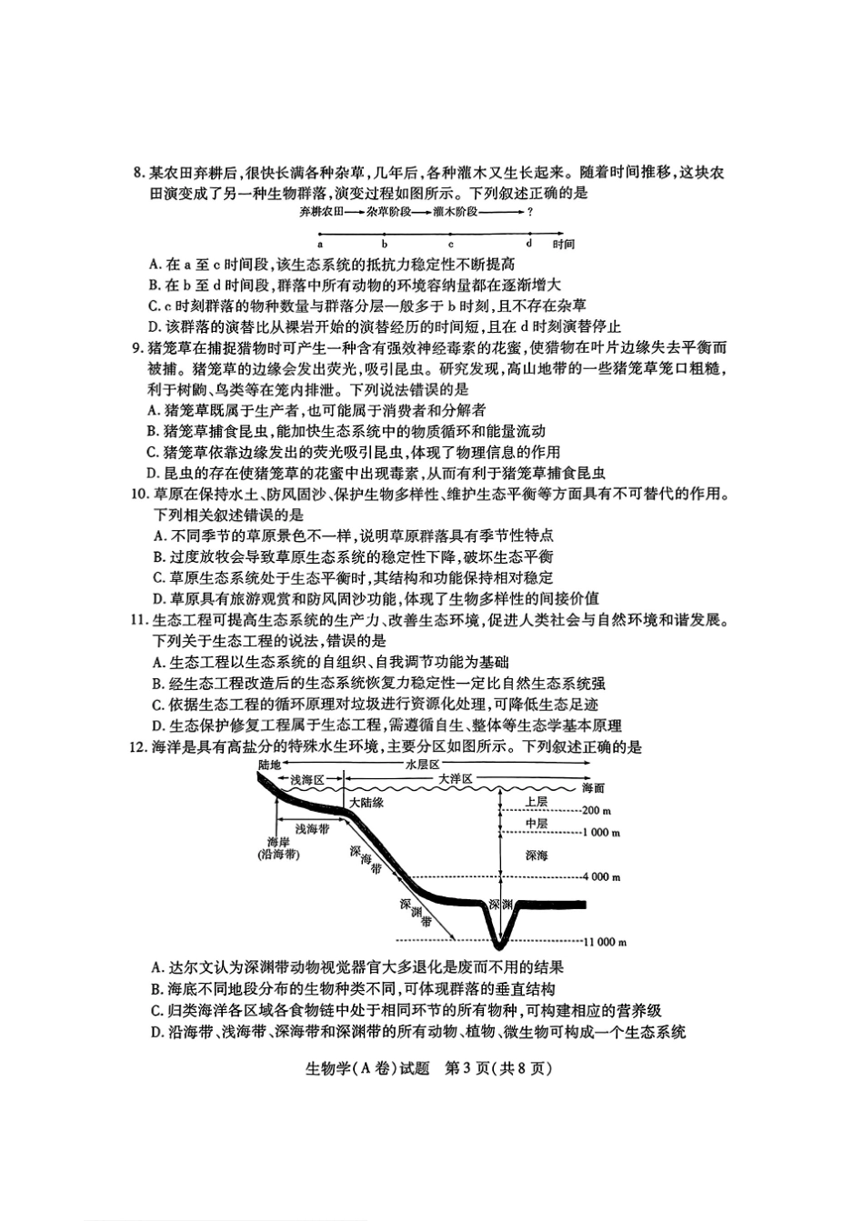 河南省天一大联考2024-2025学年高中毕业班阶段性测试（四）生物试卷.pdf_第3页