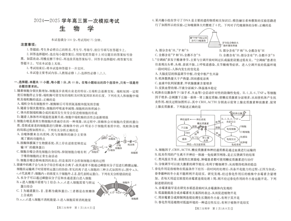 河南省新乡市2024-2025学年高三年级第一次模拟考试生物试卷.pdf_第1页