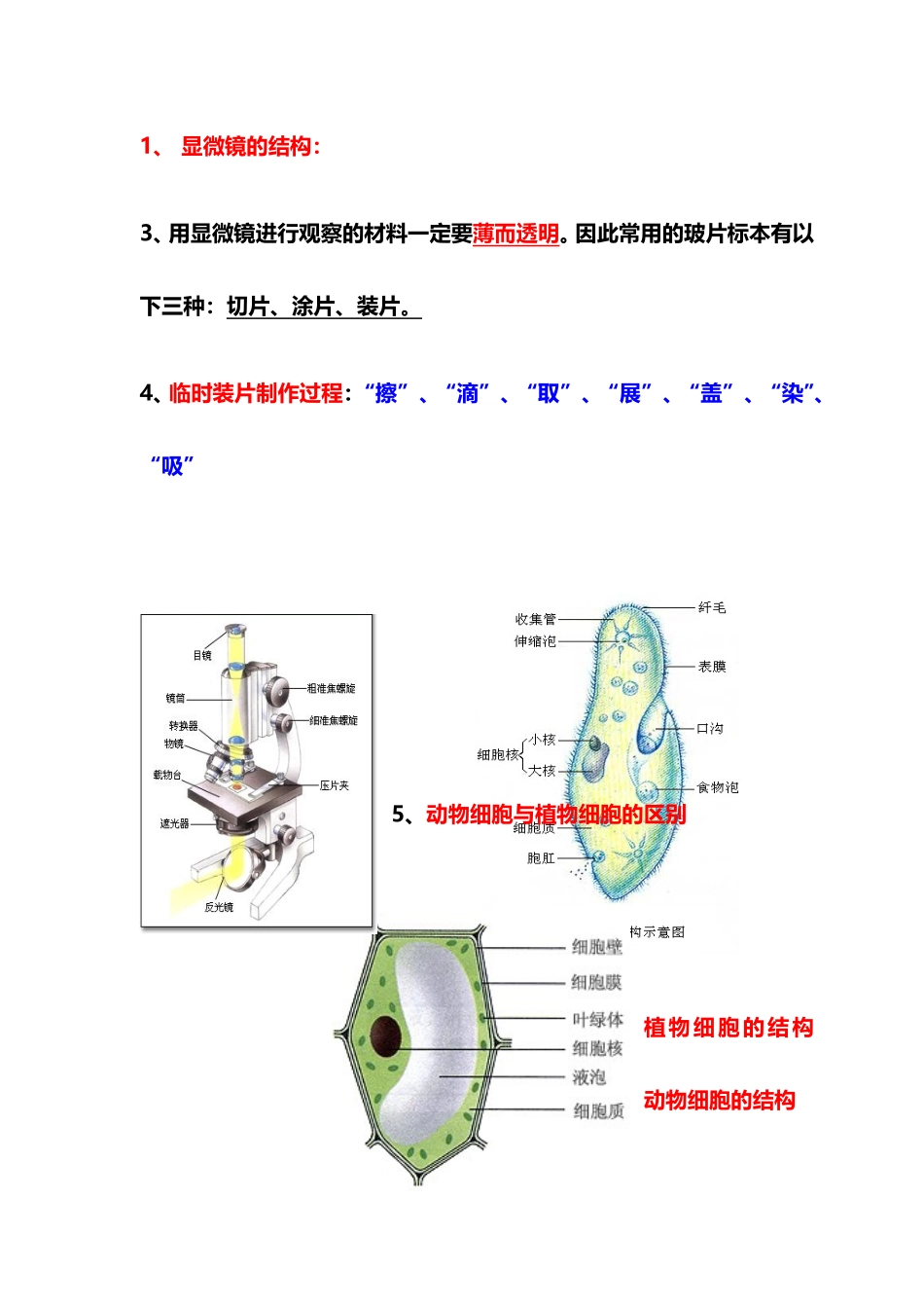 (完整版)七年级上册生物重点知识预习提纲.doc_第3页