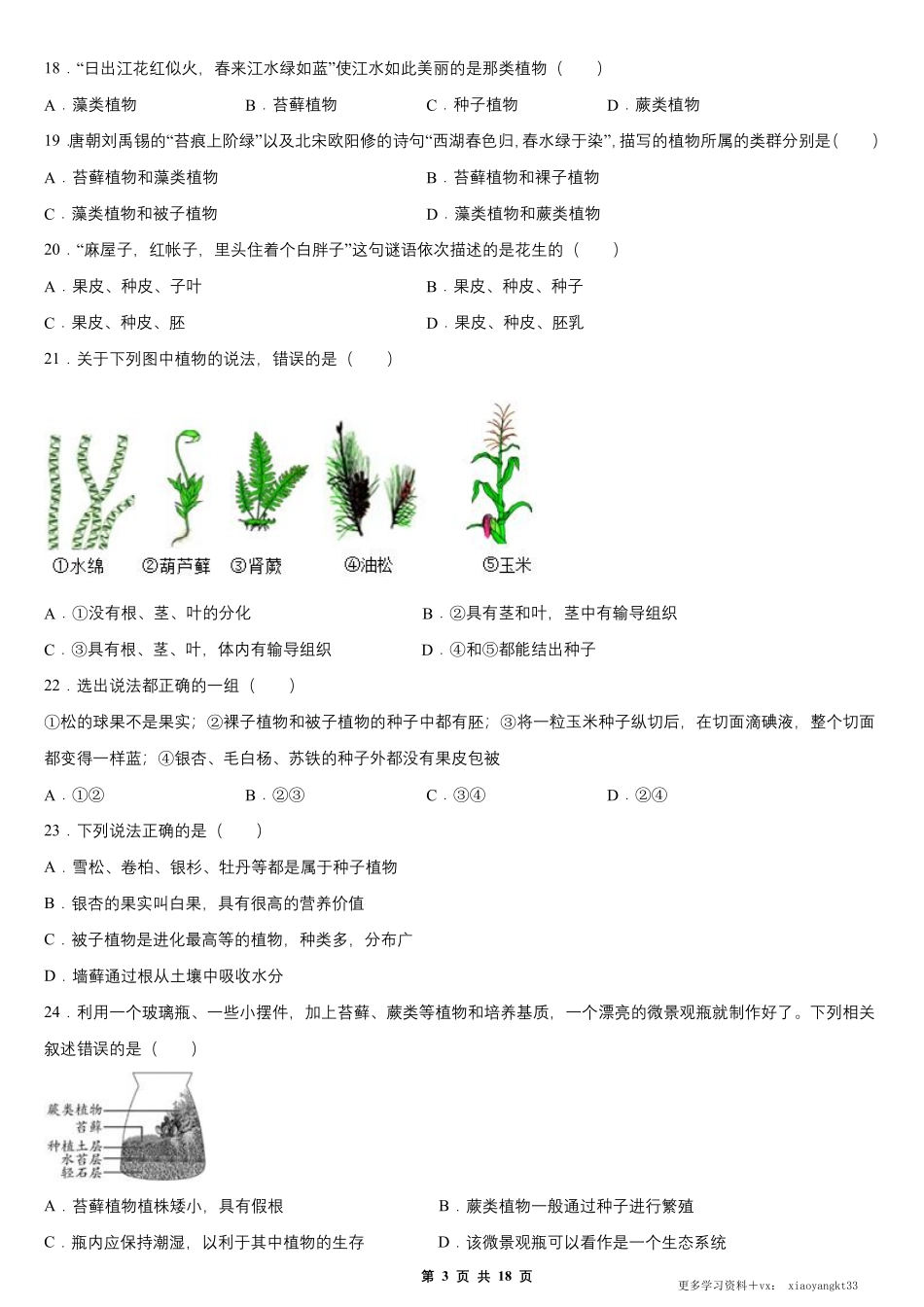 【七上生物】第三单元 第一章 生物圈中有哪些绿色植物 单元测试卷（人教版）.pdf_第3页