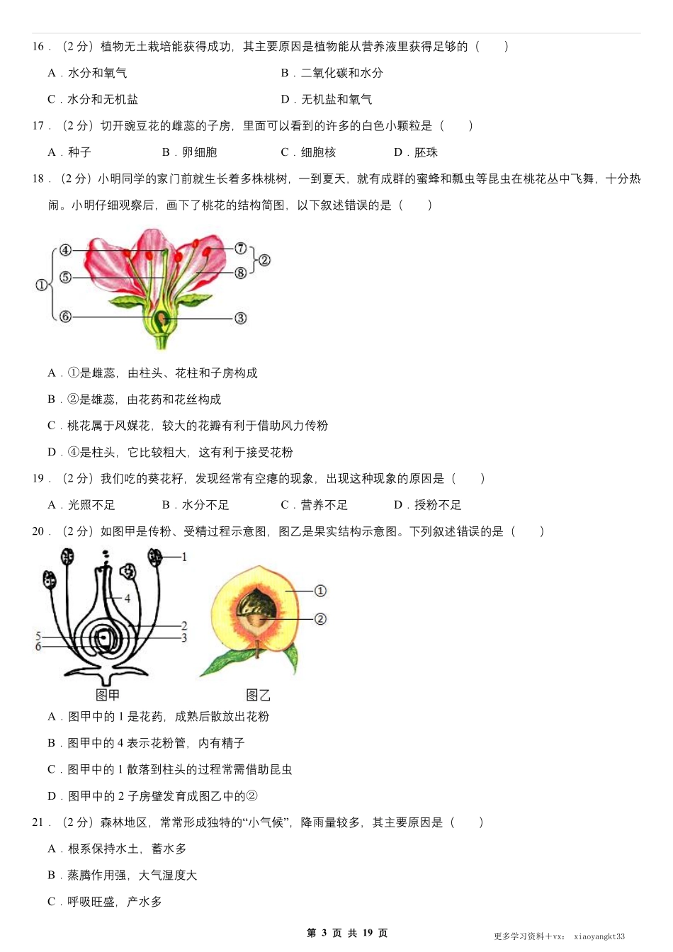 【七上生物】期末真题卷（人教版）.pdf_第3页