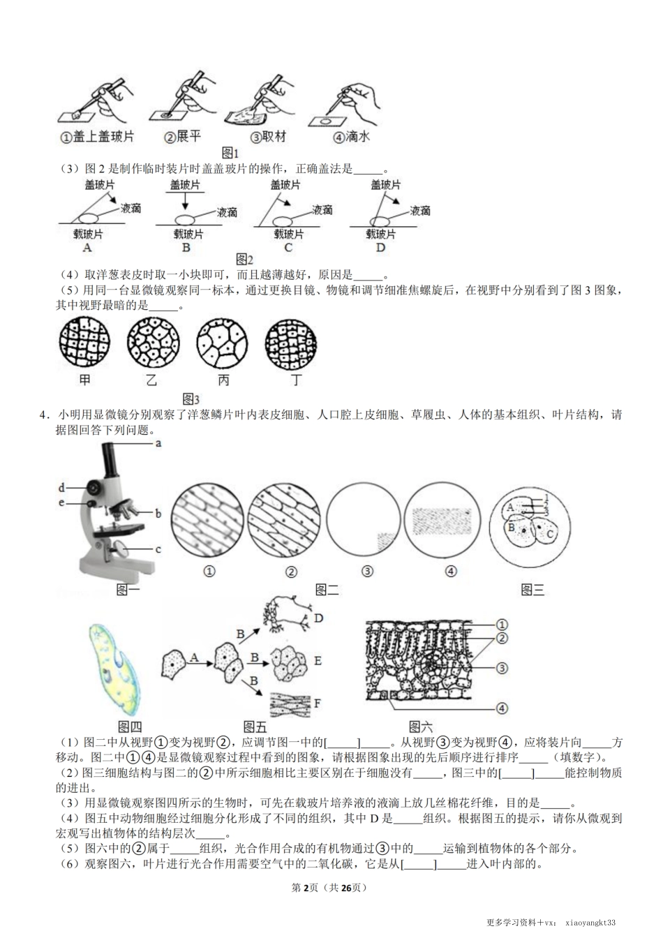 【七上生物】填图+实验探究36题（通用版）.pdf_第2页