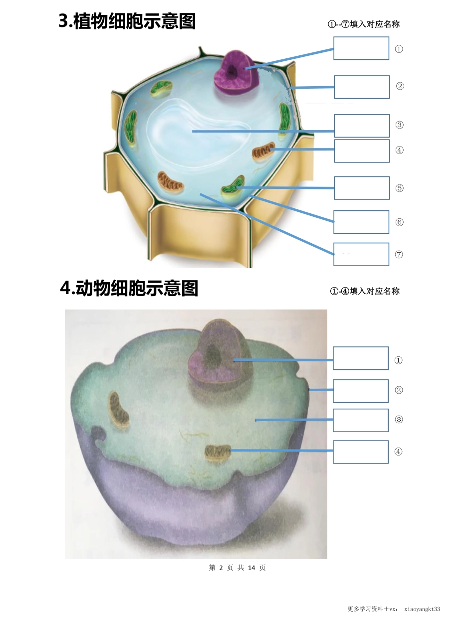 初中生物会考白地图七年级上册.pdf_第2页